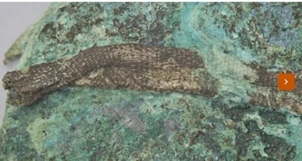 宇都宮の歴史・文化を未来へつなぐデジタルミュージアムOPEN！白黒写真も募集中