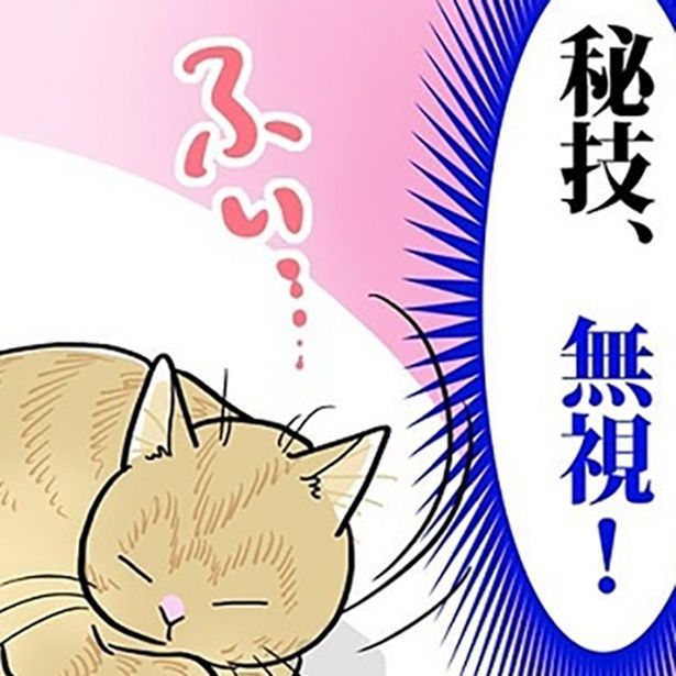 秘技「無視」をさく裂!!