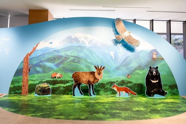 白州の森にすむ動物たちをパネルで紹介