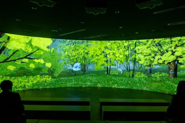 映像シアターでは、ルリビタキと一緒に、森の中を散策。浮遊感が味わえるダイナミックな映像に没入しよう