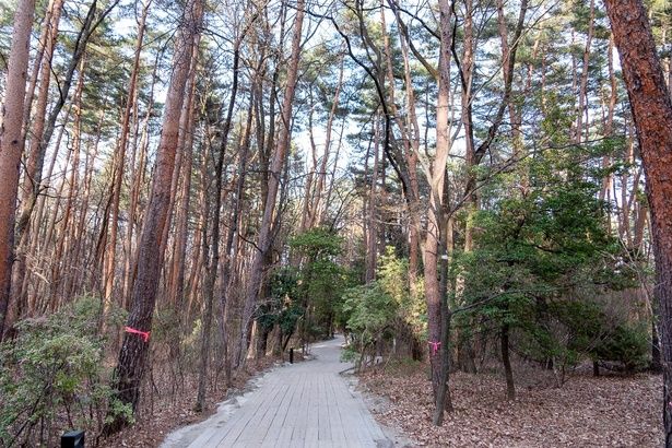 ルリビタキをはじめ、カワセミやカッコウ、ウグイス、ホトトギス、クマタカなど、たくさんの野鳥が生息する、野鳥の保護区「バードサンクチュアリ」。工場見学のあと、遊歩道を散策しながら自然を楽しむのもおすすめ！