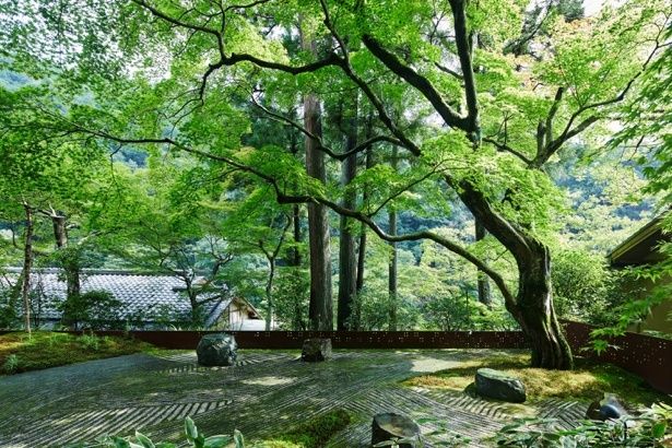 早朝の朝日が差し込む「奥の庭」で開催