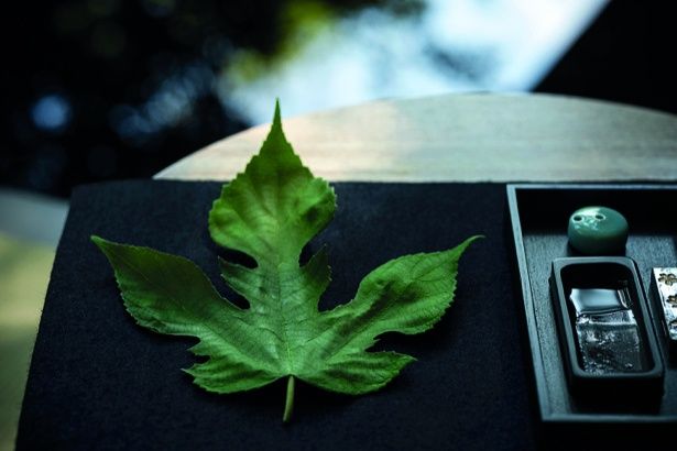 梶の葉に思いをしたためる