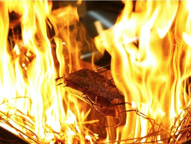 藁焼き鰹たたき「明神丸」 画像提供：ＫＩＴＴＥ大阪