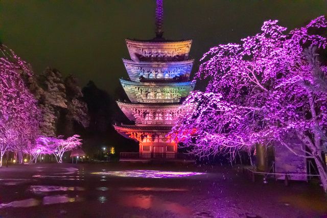 エリア：国宝・五重塔