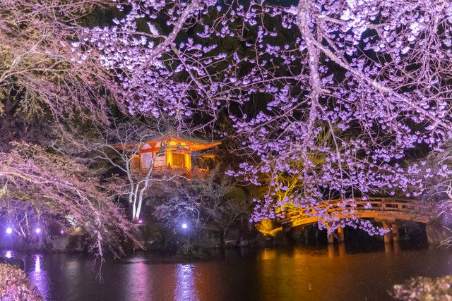 エリア：弁天堂