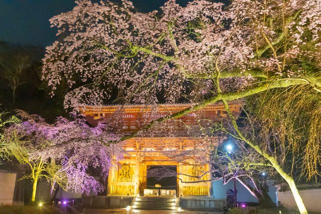 エリア：仁王門・参道