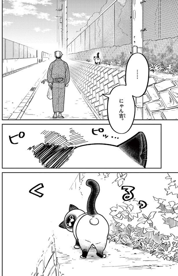 にゃん吉 （C）片倉頼／小学館