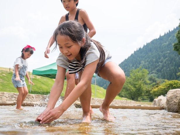 魚つかみ取り広場でのつかみ取り体験