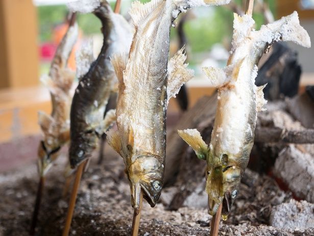 長良川の鮎は格別のおいしさだ