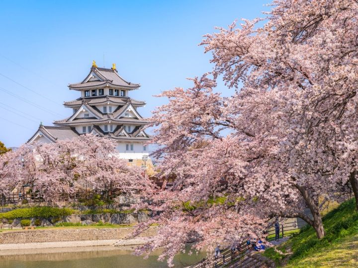 All About ニュース編集部が全国250人を対象に実施した「桜の名所に関するアンケート」の調査結果から、岐阜県で行ってみたい＆好きな桜の名所ランキングを発表！ 2位「墨俣一夜城・犀川堤の桜」を抑えた1位は？