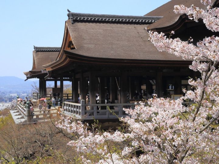 All About ニュース編集部が全国250人を対象に実施した「桜の名所に関するアンケート」の調査結果から、京都で行ってみたい＆好きな桜の名所ランキングを発表！ 2位「清水寺」を抑えた1位は？