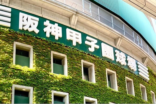 甲子園に出場すると、記念タオルを作る文化があるという 【画像提供＝写真AC】