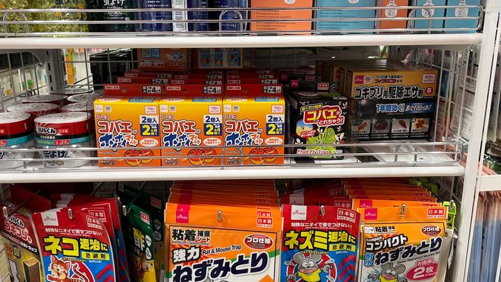 100均にコバエ取りは売ってる？ダイソー・セリア・キャン★ドゥを調査！