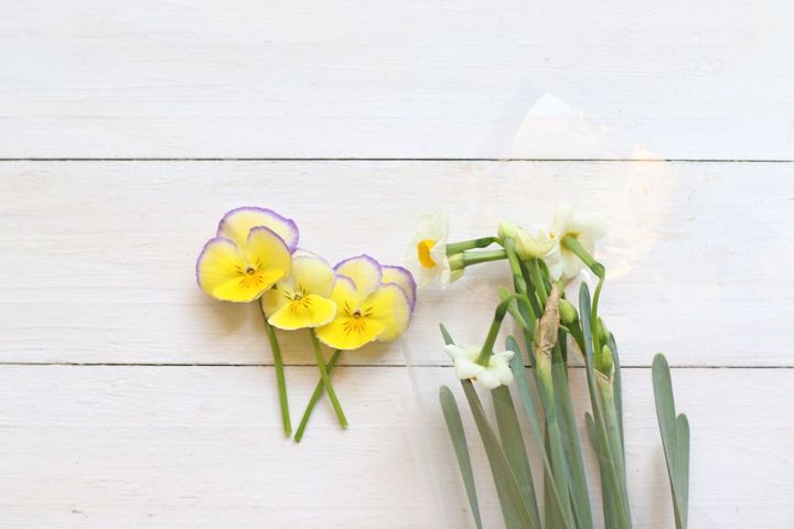 パンジーとスイセン