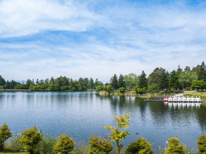 蓼科温泉は、長野県茅野市に位置する歴史ある温泉地です。平安時代に坂上田村麻呂が発見したとされ、戦国時代には武田信玄が傷ついた兵を癒した「隠し湯」としても有名。標高1200〜1600mの高原リゾートで、多彩な泉質と豊かな自然を堪能できます。