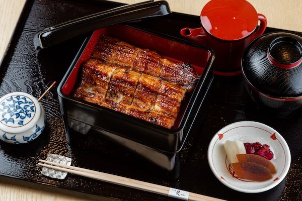 【京都府京都市】希少な“天空うなぎ”専門店「うなぎ昊」の5周年感謝祭！茶碗蒸し＆ドリンクをサービス