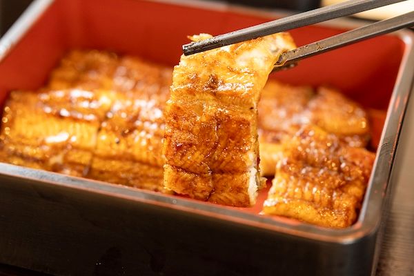 【京都府京都市】希少な“天空うなぎ”専門店「うなぎ昊」の5周年感謝祭！茶碗蒸し＆ドリンクをサービス