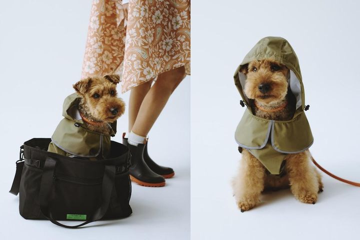 画像: キウドッグレインポンチョ K505（カーキ）¥4,840 出典：キウ