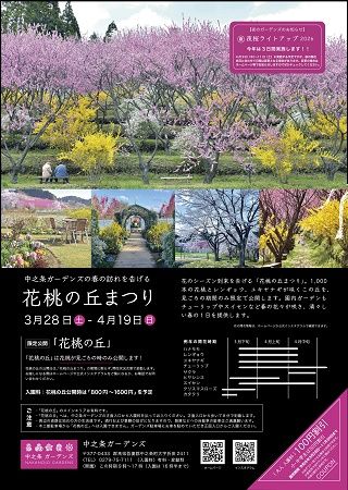 【群馬県中之条町】中之条ガーデンズで「花桃の丘まつり」開催中！マルシェや夜桜ライトアップも実施