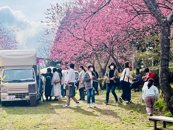 【群馬県中之条町】中之条ガーデンズで「花桃の丘まつり」開催中！マルシェや夜桜ライトアップも実施