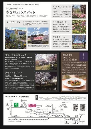 【群馬県中之条町】中之条ガーデンズで「花桃の丘まつり」開催中！マルシェや夜桜ライトアップも実施
