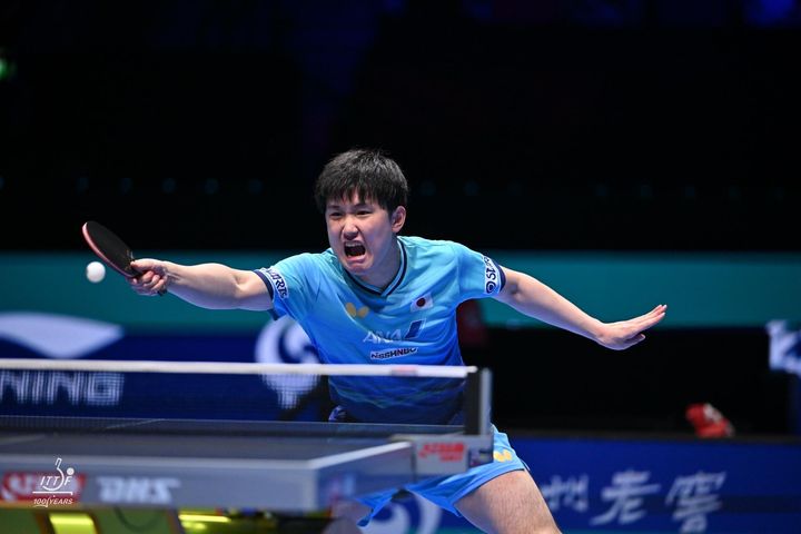 張本智和（C）WTT