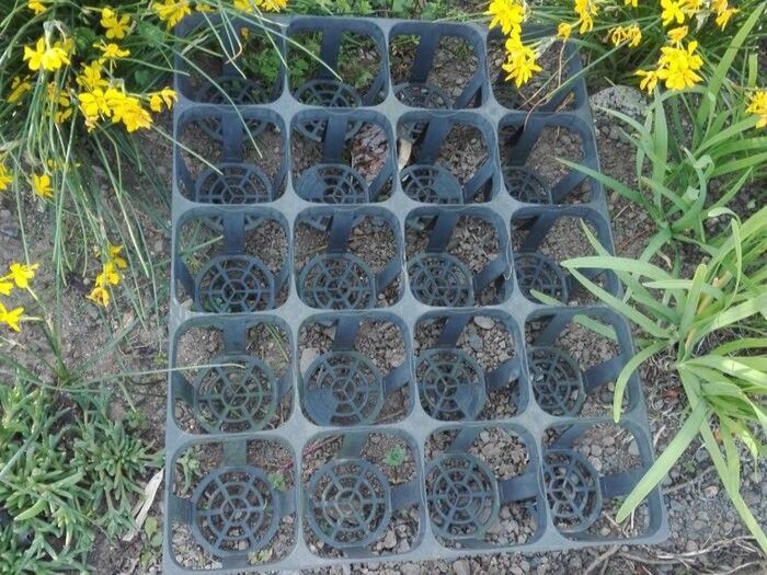 「育苗トレー」がまさかの便利グッズに大変身。家事のイライラが秒で解決しました♪