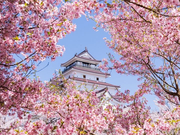 All About ニュース編集部が全国250人を対象に実施した「桜の名所」に関するアンケートの調査結果から、福島県で「行ってみたい＆好きな桜の名所」ランキングを発表！ 2位「鶴ヶ城公園」を抑えた1位は？