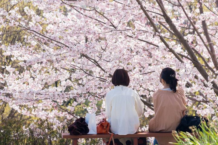 運を引きよせるアクション