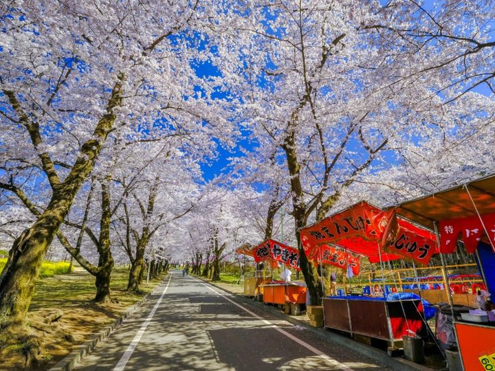 群馬県の赤城温泉は、元禄時代から続く歴史ある温泉地です。全国でも貴重な「にごり湯」の炭酸水素塩泉は、「万病に効く薬湯」として古くから親しまれてきました。四季折々の大自然と関東平野を一望できる静かな湯の里として、多くの人々を魅了しています。