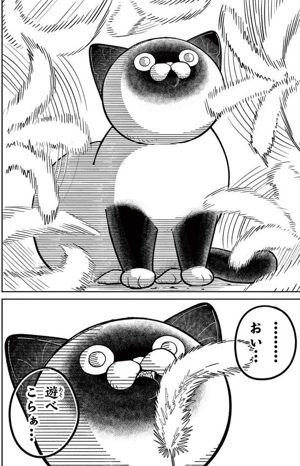 ...おい...遊べこらぁ （C）片倉頼／小学館