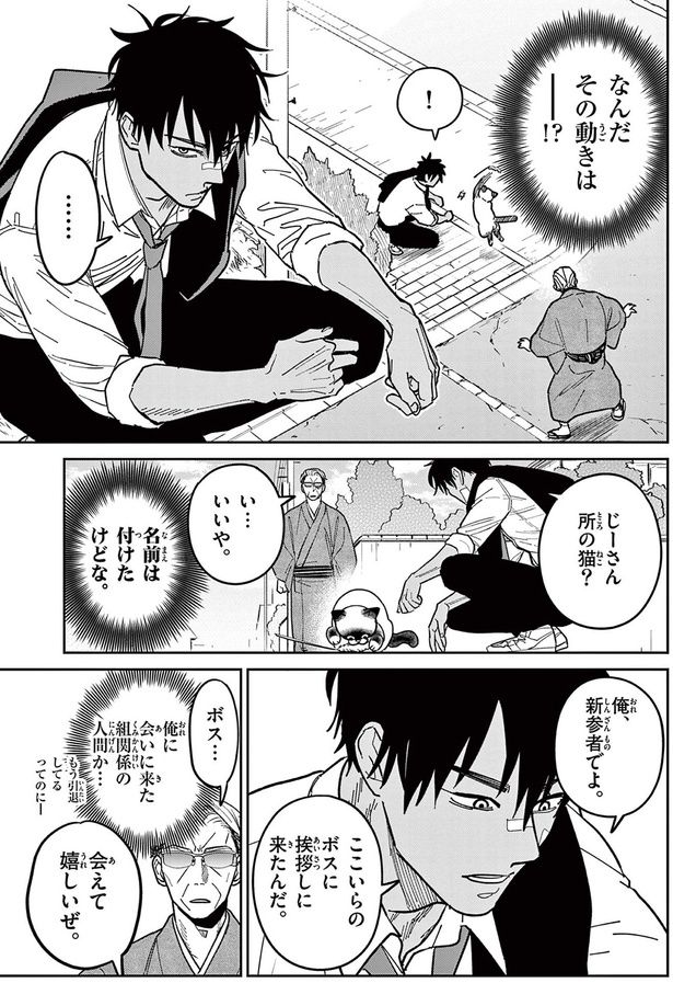 じーさん所の猫？ （C）片倉頼／小学館