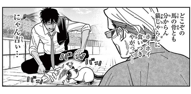 「そんなに安い男だったのか?」知らない人のじゃらしに食いつく猫にショック！ （C）片倉頼／小学館