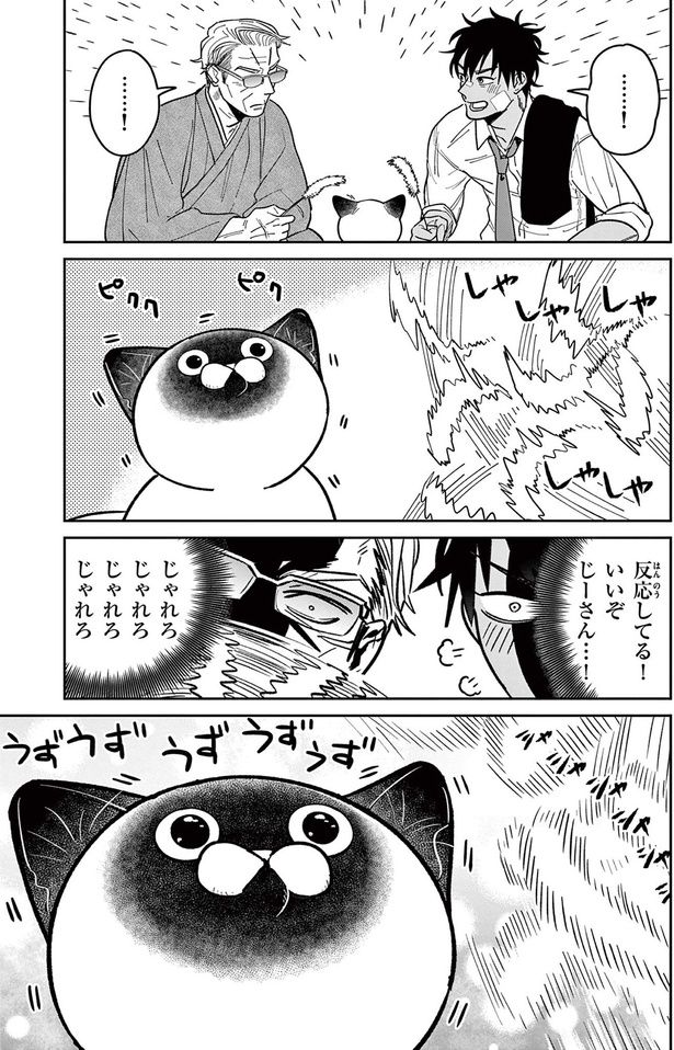 じゃれろじゃれろ （C）片倉頼／小学館