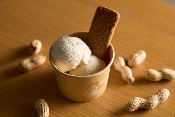 【千葉県長柄町】「リソルの森」で「ピーナッツアイスづくり」無料体験付き宿泊プランが期間限定で登場