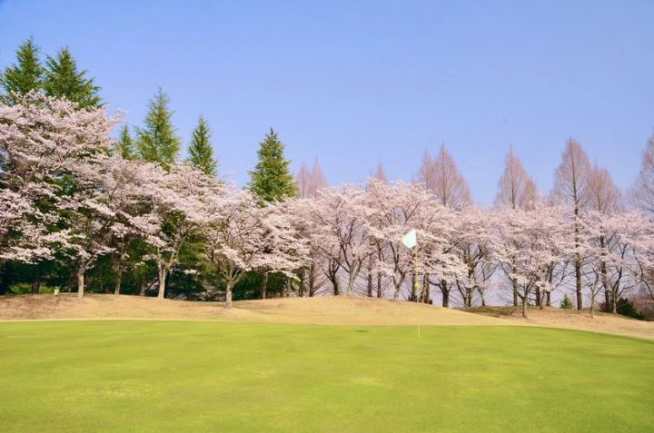 紫塚ゴルフ倶楽部のレストラン内装と食事提供の様子