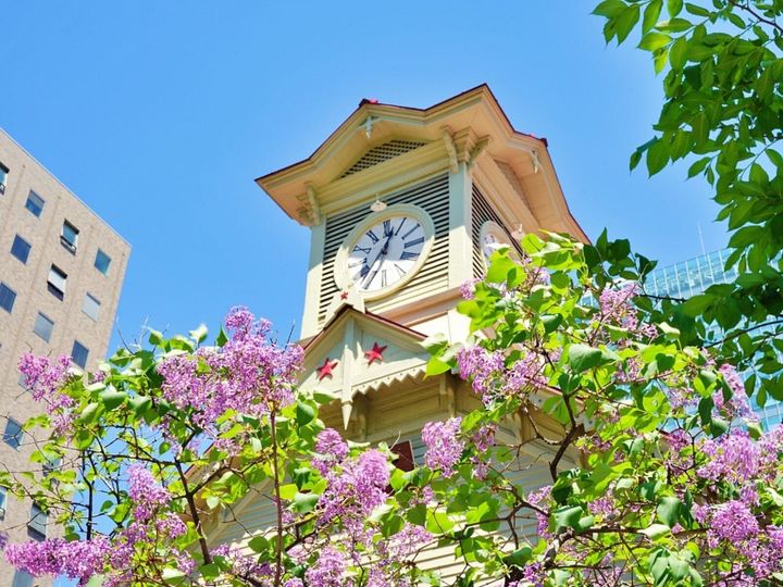 All About ニュース編集部が全国250人を対象に実施した「旅行先に関するアンケート」の調査結果から、春に行きたいと思う「北海道の旅行先」ランキングを発表！ 2位「札幌市時計台」を抑えた1位は？