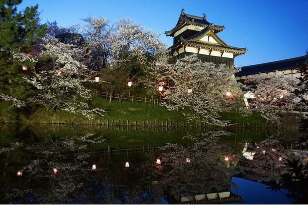 水面に写る美しい郡山城跡と桜/郡山城跡の桜 画像提供：大和郡山市観光協会