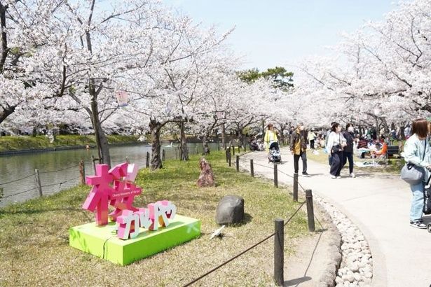 見どころの「城池」沿いなど園内には約400本の桜が咲く/亀城公園の桜(愛知県) 画像提供：刈谷市観光協会