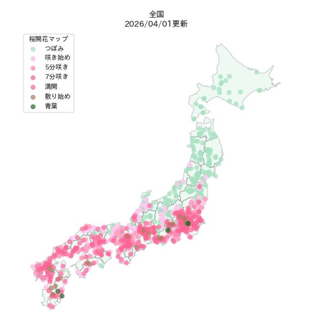 全国の開花状況マップ(2026年4月1日現在)
