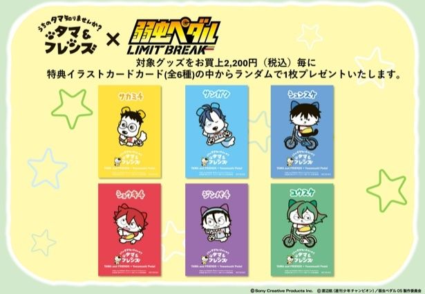 『タマ＆フレンズ』×『弱虫ペダル』特典イラストカード
