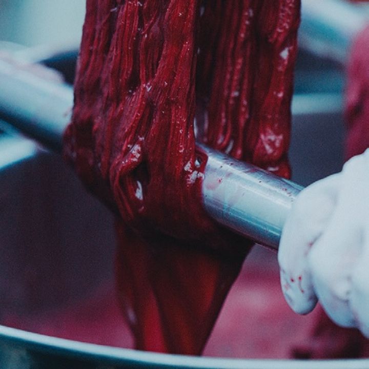 ISSEY MIYAKE＋林 響太朗＋長尾智子「色を纏い、色を味わう（仮題）」 映像:林 響太朗