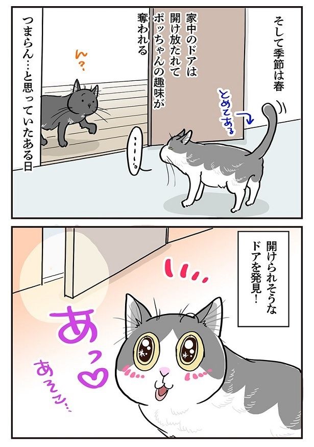 春になるとどのドアも開け放たれてしまうため、つまらないと思っていたが…