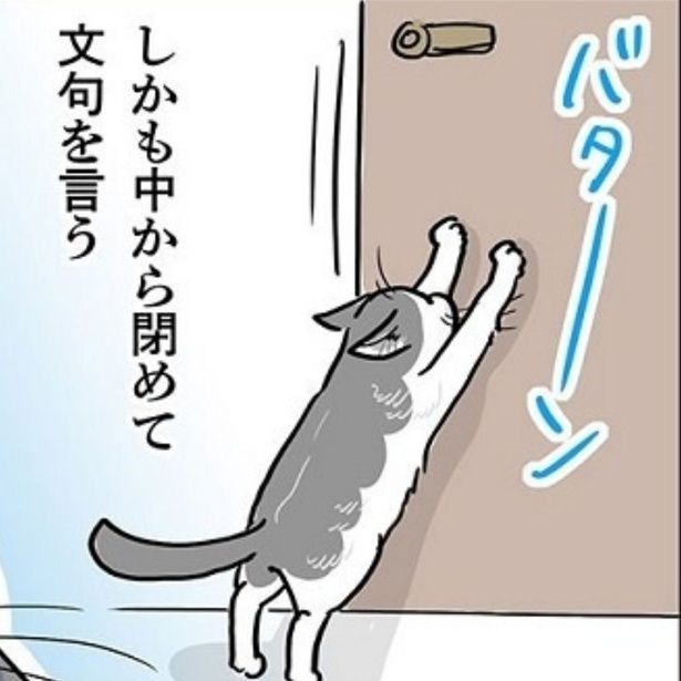 開けたり閉めたりが好き