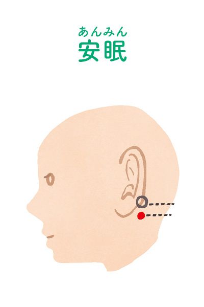 眠りにいざなう！安眠（あんみん）