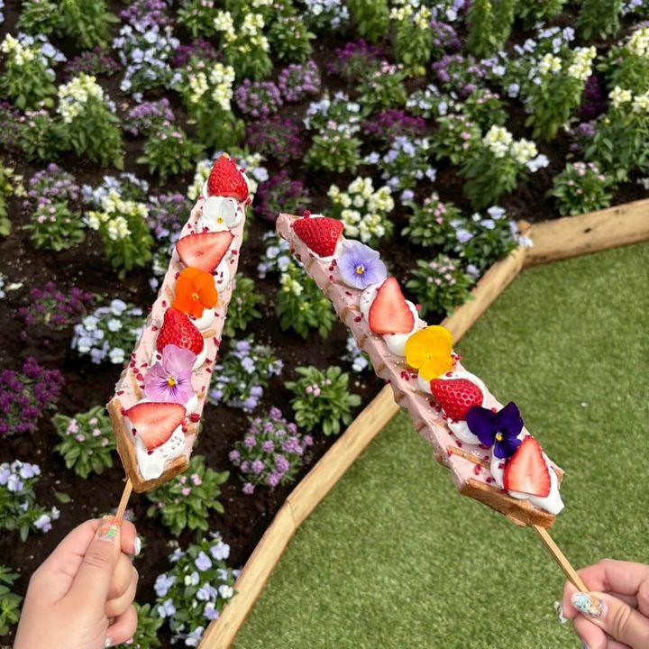 MILK MARCHĒ いちごのエピレア