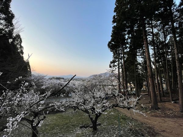 【長野県須坂市】「山の神キャンプ場」リニューアルオープン！薪・丸太使い放題で温泉も入り放題に