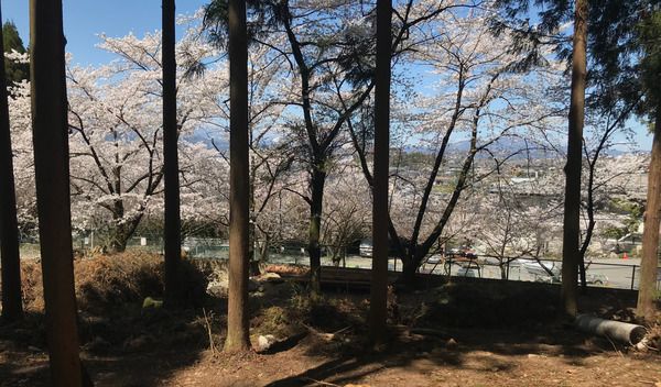 【長野県須坂市】「山の神キャンプ場」リニューアルオープン！薪・丸太使い放題で温泉も入り放題に
