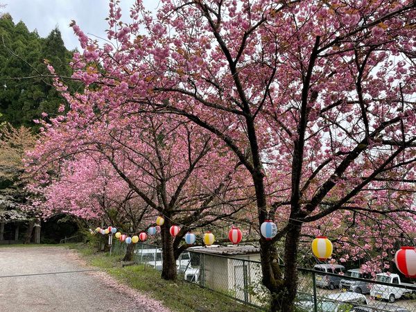 【長野県須坂市】「山の神キャンプ場」リニューアルオープン！薪・丸太使い放題で温泉も入り放題に
